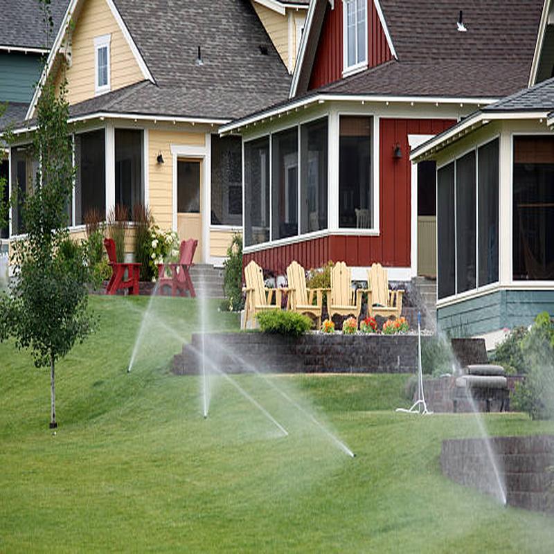 Residential lawn covered by several running spray heads